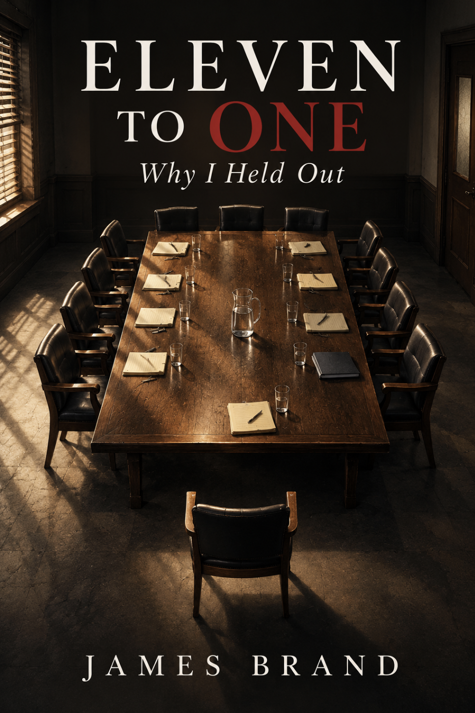 Eleven To One - Why I Held Out a novel, a book, about the Lindsay Clancy trial